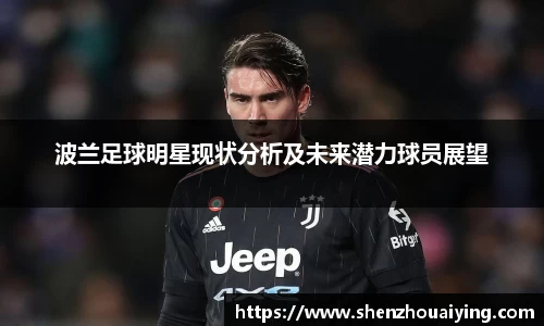 波兰足球明星现状分析及未来潜力球员展望